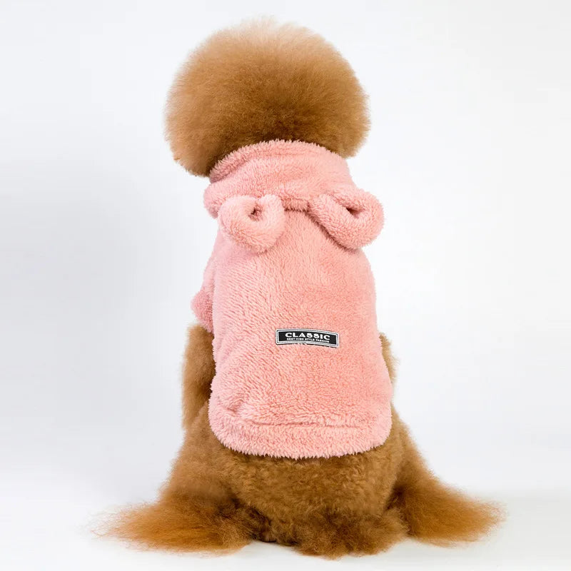 Clothes For Cat Sphinx Jacket Cat Clothes Egyptian Kitten Clothing Dog Hoodie Yorkshire Sweater Puppy Pet Chihuahua Hairless Xs