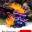 Aquarium Decorations Resin Fossil Artificial Fish Tank Ornament Shrimps Small Fish Reptile Aquarium Shelter Landscape Decor New