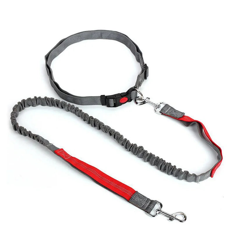 Dog Leash Supplies Free Hands Classic Harness Collar Big Pet Accessories Small Set Dogs Large Suit