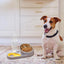 Elevated Cat Bowls Dog Feeder Cat Food Dishes Dog Food And Water Bowl Set Tilted Pet Food Bowls For Indoor Pet Cats Dogs Kittens