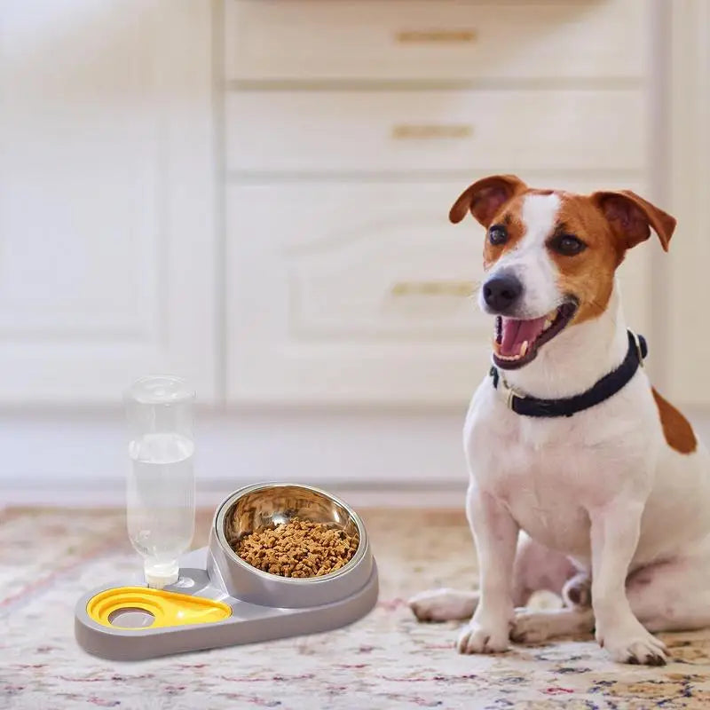 Elevated Cat Bowls Dog Feeder Cat Food Dishes Dog Food And Water Bowl Set Tilted Pet Food Bowls For Indoor Pet Cats Dogs Kittens