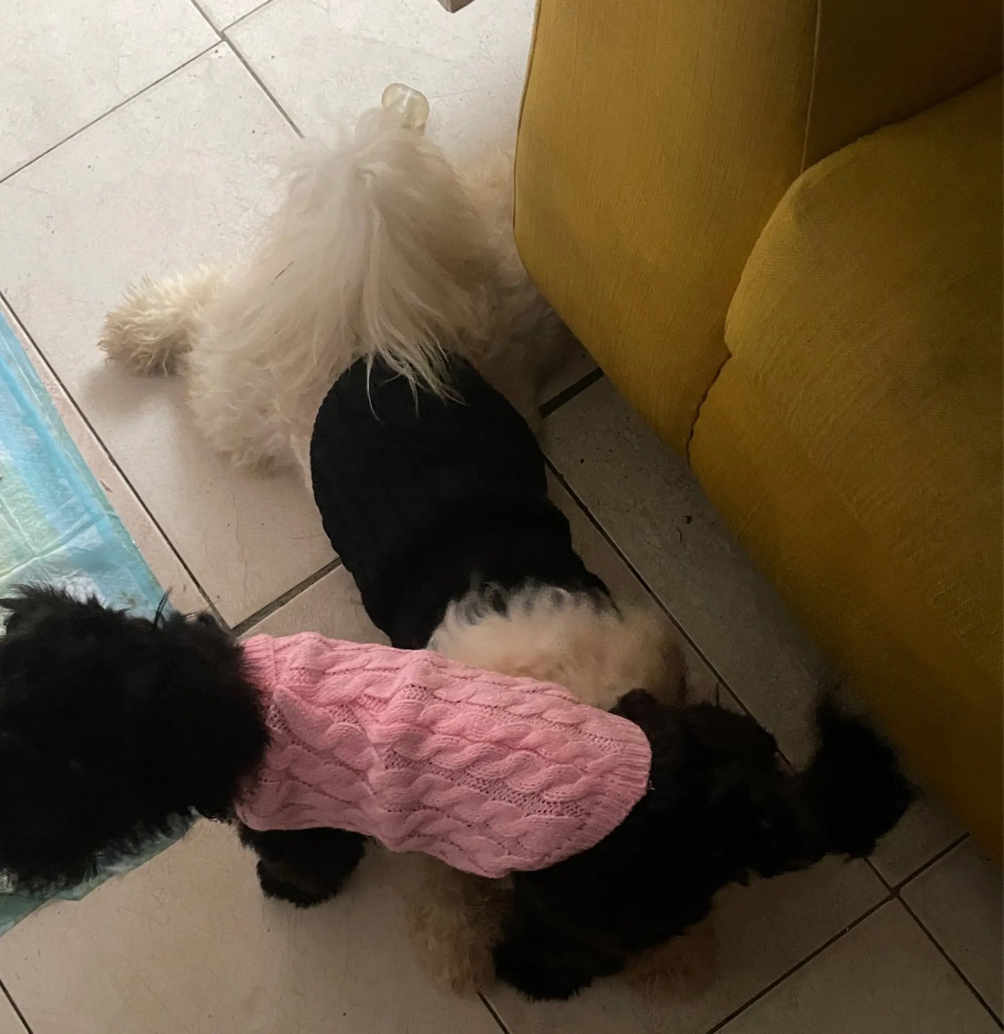 Warm Dog Clothes Knitted Clothes for Dogs Chihuahua Sweater for Small Dogs Winter Clothes for Sphinx Cat Dog Sweater for York