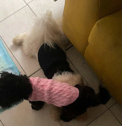 Warm Dog Clothes Knitted Clothes for Dogs Chihuahua Sweater for Small Dogs Winter Clothes for Sphinx Cat Dog Sweater for York