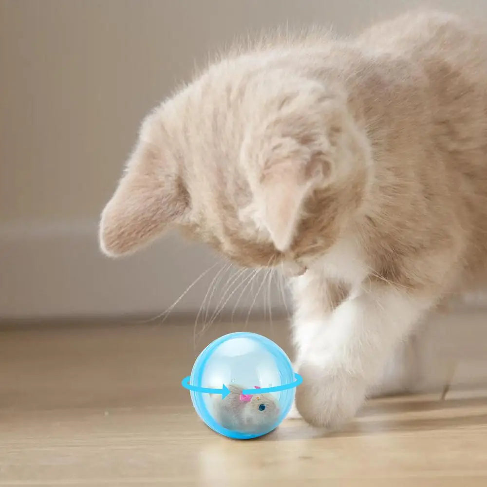 Rolling Ball Dog Toy Electric Hamster Running Rolling Toy Rolling Learning Cats and Dogs Toy Crawl Artifact Pet Rotating Toy