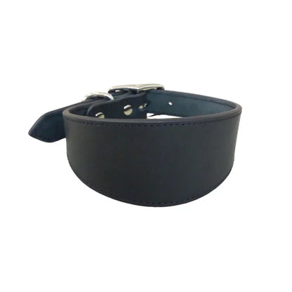 Soft Real Leather Extra Wide Padded Tapered Dog Collar Glossy Brown Black Greyhound Saluki Deerhound Lurcher Whippet Dachshund