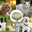 Electric Heated Dog Bed Soft and Comfortable Pet Heating Pads USB Charging Cat Mat winter Warm Indoor Pet Bed Heating Pet Pads