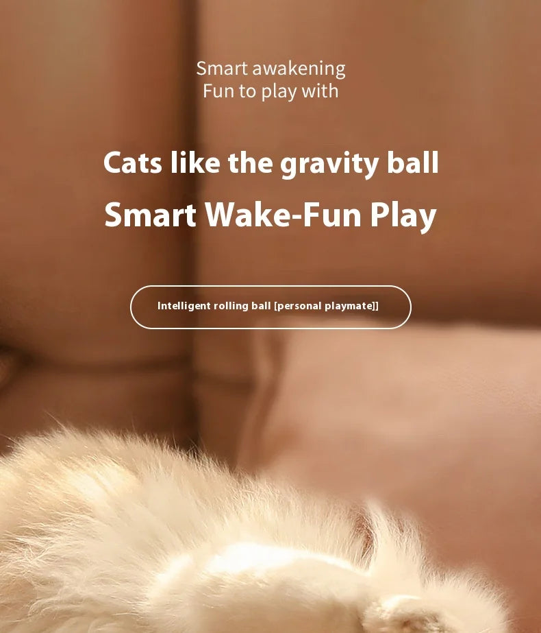 Pet automatic cat teasing ball cat toy for self fun and relaxation, rolling ball pet gravity cat toy