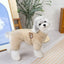 Dog Fuzzy Velvet Pajamas Dog Winter Clothes Soft Warm Coat Jumpsuit with Zipper for Small Dogs Boy Girl Pet Cat Doggy Apparel