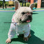 Dog Hoodie Dog Costume Pet Clothes Dog Clothes for Small Dogs Spring and Autumn Parent-child Wear Keep Warm Embroidery