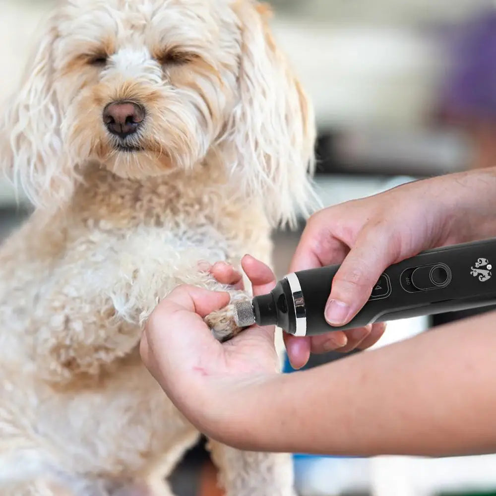 Dog Nail Trimmer 2 Speeds Electric Pet Nail Cutting Quiet Rechargeable Large Nail Grooming Kit Puppy Kitten Claw Cutter