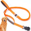 Dog Leashes For Medium Dogs 4.5 Feet Long Dog Leashes For Puppy Shock-Absorbing House For Puppy Training Reflective Bungee Dog