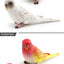 Simulated bird parrot children's ornament toy
