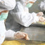 Beekeeping Equipment Plastic Polystyrene  Bee Hives Langstroth Plastic Beehive For Apis Mellifera