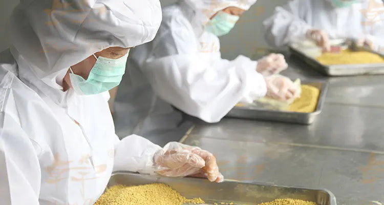 Beekeeping Equipment Plastic Polystyrene  Bee Hives Langstroth Plastic Beehive For Apis Mellifera