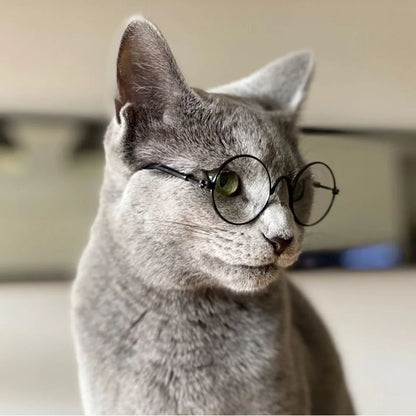Anti-slip Cat Sunglasses Pet Accessories Small Dog Sun Glasses Classic Retro Circular Glasses for Kitten Photos Props Cosplay