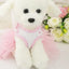 10PCS Pets Accessaries Dogs Cats Princess Flower Lace Dress For Pet Wedding Party Spring Summer small Teddy girl ropa para perro