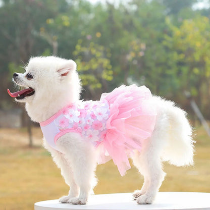 Lace Chiffon Dress for Small Dog Cat Lovely Floral Dress Pet Party Birthday Costume Dog Wedding Dress Cute Dog Clothes in Summer