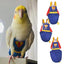 Parrot Diaper Cute Bird Physiological Diaper Cockatiel Pigeons Small Medium Large Pet Birds Flight Suit Clothes Nappy Washable