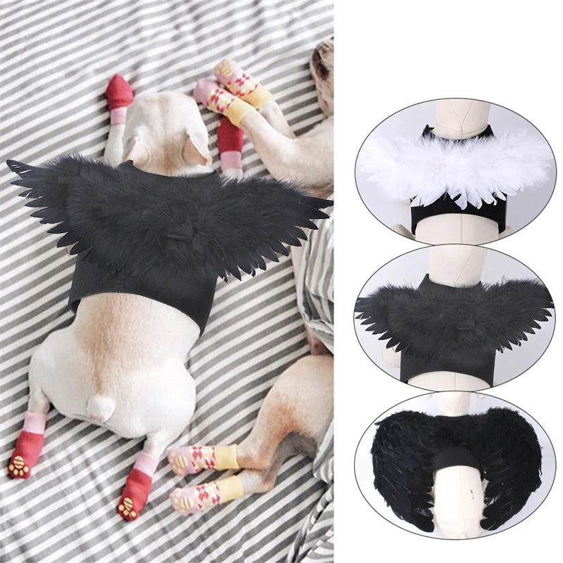 Angel Wings Pet Dogs Accessories Festival Halloween Puppy Costume Clothes Black White Cosplay Jacket Luxury Designer Pet Items