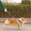 3M 5M Retractable Dog Leash Durable Nylon Pet Walking Leash Automatic Extending Dog Lead Rope for Small Medium Pet