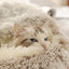 Autumn and Winter soft plush pet bed and pet bed Winter warm and cold plush comforter nest Shell cat nest semi-enclosed cat nest