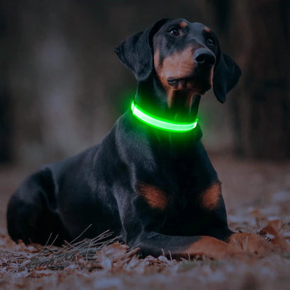 Light Up Dog Collar, Glow LED Dog Collar Flashing Night Walking Collar Waterproof for Small Medium Large Dogs