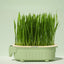 Good Quality Soilless hydroponic growing cup Lazy planting cup Hydroponic cultivation