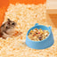 Hamster Feeding Bowl Hamster Food Water Bowl For Rabbit Guinea Pig Small Pets Feeder Dish Pet Food Bowl Supplies