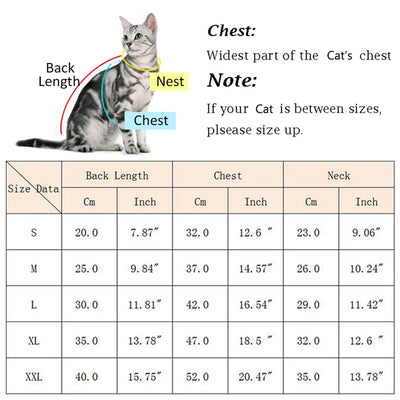 Autumn Winter Sphynx Cat Clothes Korean Pet Sweater for Cats Gotas Katten Kedi Pullovers Dog Hoodie mascotas Costume Clothing