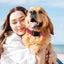 Reflective Dog Collar Adjustable Cat Collar Safety Nylon Pet Collar Durable Comfortable Reflective Pet Collar Pet Supplies
