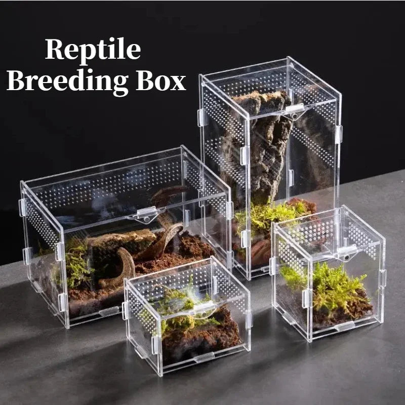 Reptile Acrylic Transparent Terrarium Breeding Box Turtle Cage Nano Arboreal Tarantula Enclosure Dearded Dragon Reptiles Habitat