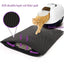 Cat Litter Mat EVA Double Layer Cat Litter Mat Cat Litter Basin Sand Falling Mat Eva Cat Litter Mat Cat Nest Mat Pet Mat