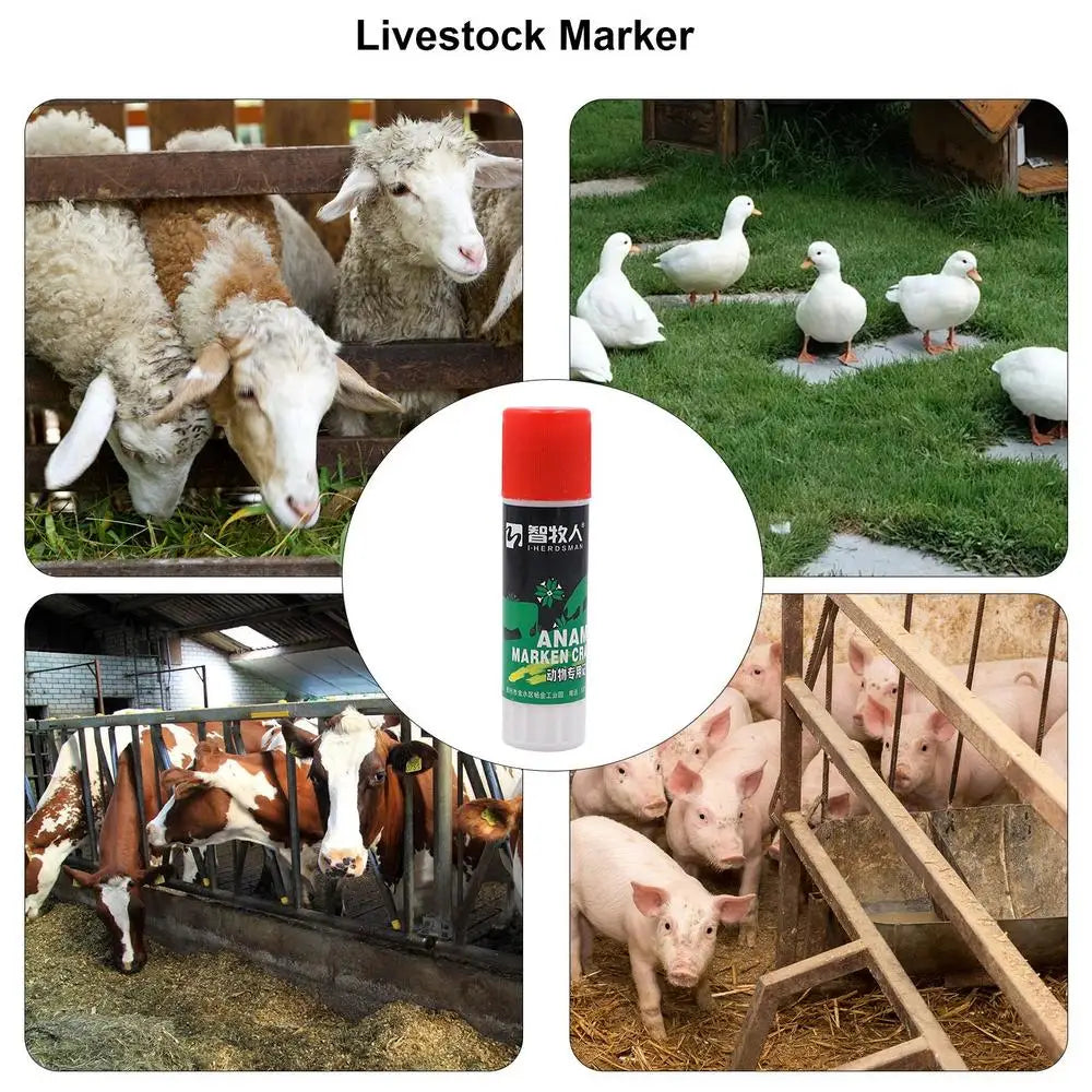 Livestock Markers Pencil Crayon For Marking Farm Livestock Livestock Breeding Crayon Animal Husbandry Markers For Horses Cattles