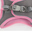 Pets Breathable Dog Vest Pectoral Girdle Backstraps Prevent Breakout Exclusive for Outdoor Use Adjustable Night Reflection