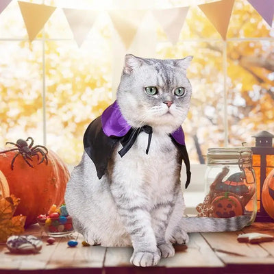 Pet Dog Cat Witch Hat Bandana Cosplay Prop Halloween Fancy Dress Costume Outfit Cat Costumes Photo Props Headwear