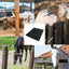 Livestock Scratching Brush Horse Brushes Animal Scratch Itch Relief Horse Grooming  Livestock Scratch Brushes for Reduce Pain