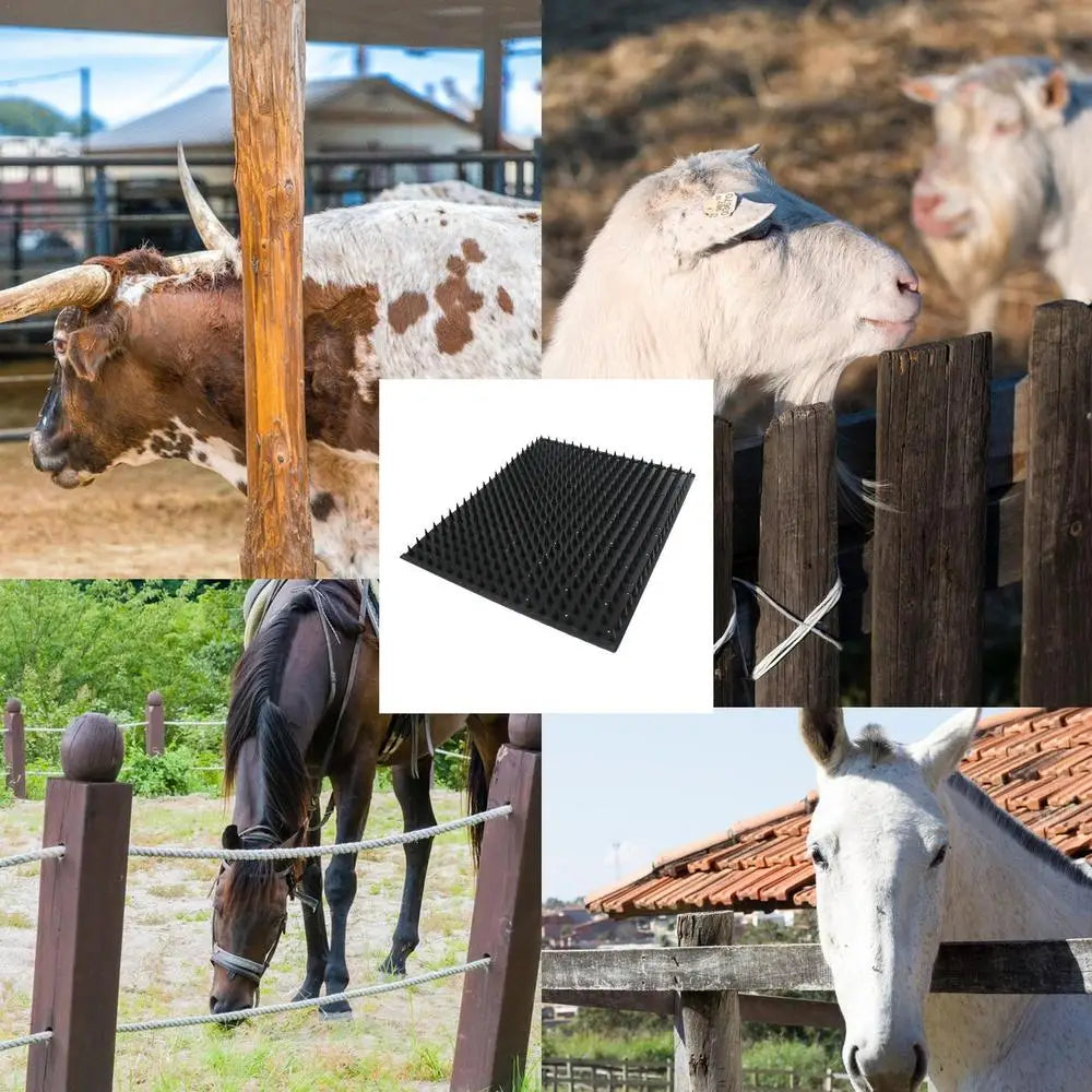 Livestock Scratching Brush Horse Brushes Animal Scratch Itch Relief Horse Grooming  Livestock Scratch Brushes for Reduce Pain