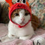 Cute Pet Hat Small Dog Cat Hat Easter Bunny Hat Crab Lobster Frog Cap Pet Party Costume Accessories Headwear for Cat Kitten Pug
