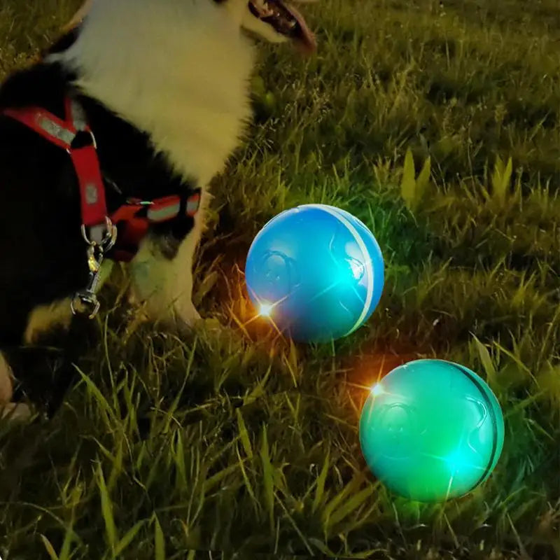 Automatic Rolling Ball Toys Safe Dog Toy Balls Bite Resistant Dog Toys Puppy Toys Fun Interactive Play for Pet Dog Puppy