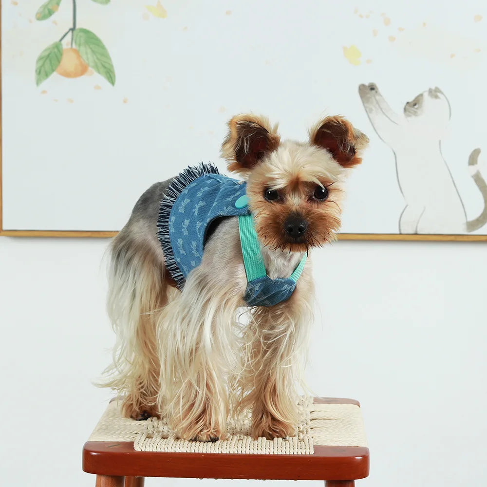 New Dog Harness and Leash Set for Small Dogs, Dark Wash Denim Puppy Dog Vest Harness Tassels Pet Jeans Butterfly Harness