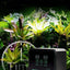 Intelligent Reptile Spray System Mist Rainforest Tank Spray System Kit Sprinkler Control Terrariums Humidifier Electronic Timer