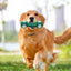 Chew Toys for Dogs Squeaky Dog Toys Pet Chewing Toys for Teething Interactive Training Toys for Small Medium Large Dogs