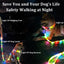 Led Light Up Dog Leash Walking Safety Glow in The Dark USB Rechargeable Adjustable for Large Medium Small Pet Lighted Dog Collar