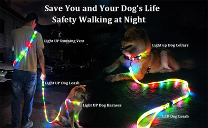 Led Light Up Dog Leash Walking Safety Glow in The Dark USB Rechargeable Adjustable for Large Medium Small Pet Lighted Dog Collar