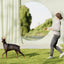 Heavy Duty Dog Rope Telescopic Tractor Automatic Rope Dog Walking Retractable Security Strap Long Lead Pet Rope With Non-Slip