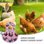 Chicken Saddle For Hens Breathable Feather Protector Chicken Pecking Guard Comfortable Chicken Clothes Wing Back Protector