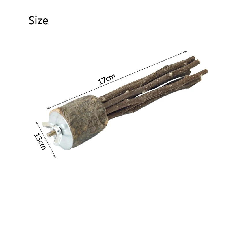 Natural Apple Tree Wood Pet Parrot Raw Wood Fork Tree Branch Stand Rack Squirrel Bird Hamster Branch Perches Chew Bite Toys New