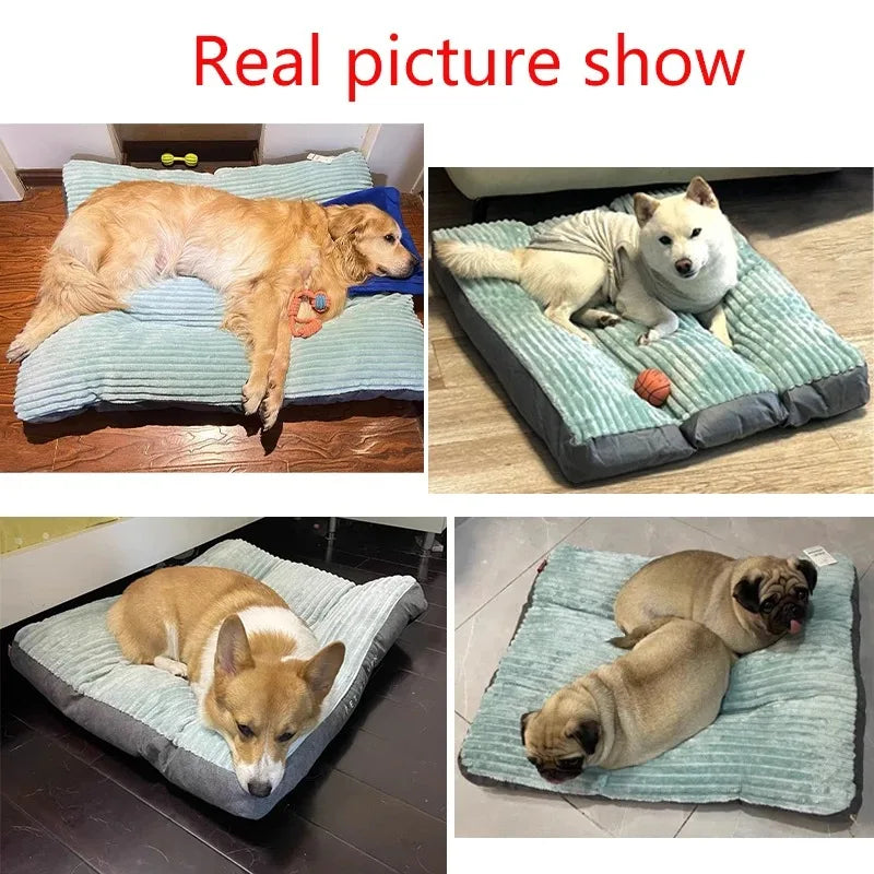 Dog Bed Large Dog Warm Accessories Halloween Dogs Baskets for Winter Big Cushion Accessory Small Pet Basket Breeds Fluffy Pets