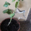 3-15pc Automatic Plant Watering Bulbs Self Watering Bird Shape Water Device Drip Irrigation System for Home Garden Flower Plants