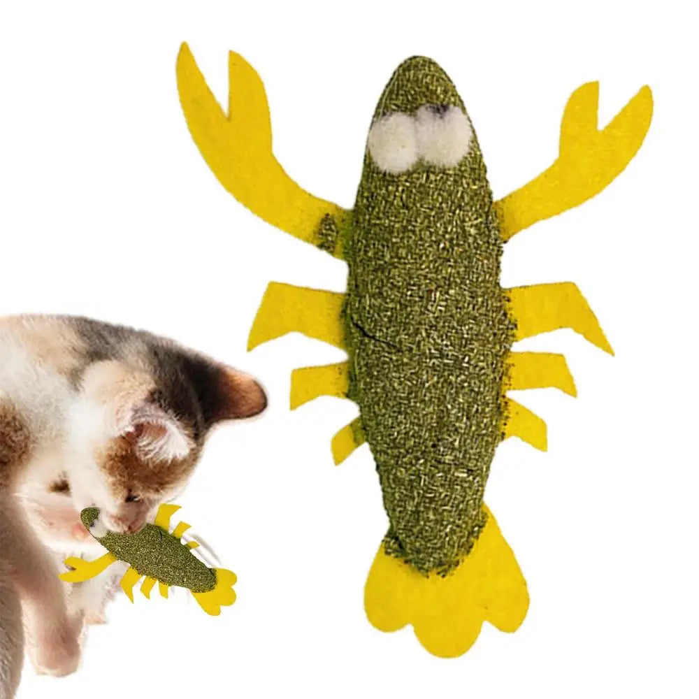 Catnip For Cat Toys Catnip Filled Cartoon Cat Teething Chew Toy Natural Catnip And Silvervine Cat Feather Kicker Toys For Indoor